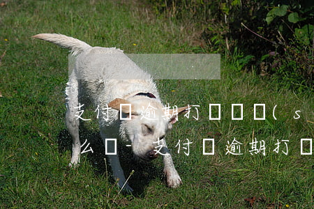 支付寶逾期打電話說(shuō)要移交怎么辦-支付寶逾期打電話說(shuō)要移交怎么辦呢