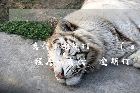 支付寶逾期打電話說(shuō)要走法律程序-支付寶逾期打電話說(shuō)走法律程序是真的嗎
