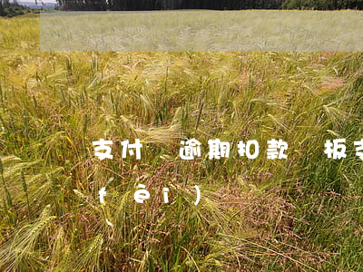 支付寶逾期扣款樣板(支付寶逾期怎么扣費(fèi))