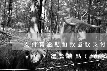 支付寶逾期扣款還款(支付寶逾期自動(dòng)還款幾點(diǎn)扣款)