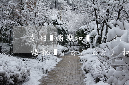 支付寶逾期扣費(fèi)-支付寶逾期直接把錢(qián)扣了