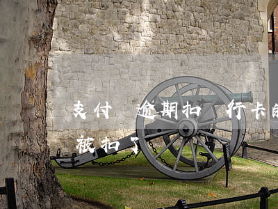 支付寶逾期扣銀行卡的錢(支付寶逾期卡里錢被扣了)