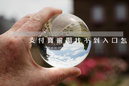 支付寶逾期找不到入口怎么辦啊-