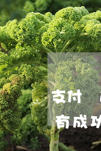 支付寶逾期找法務(wù)協(xié)商有成功的嗎-支付寶逾期找法務(wù)協(xié)商有成功的嗎是真的嗎