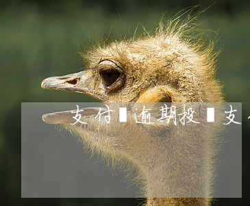支付寶逾期投訴（支付寶逾期已處理申訴）