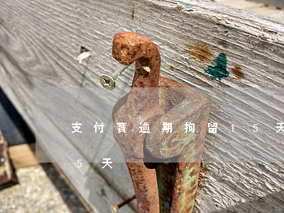 支付寶逾期拘留15天(支付寶說要拘留我15天)