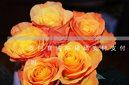 支付寶逾期掃碼支付(支付寶掃碼超時什么原因)