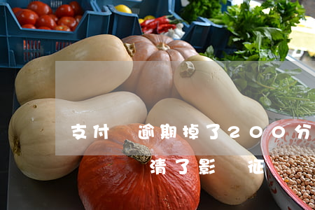 支付寶逾期掉了200分(支付寶逾期200塊錢還清了影響征嗎)