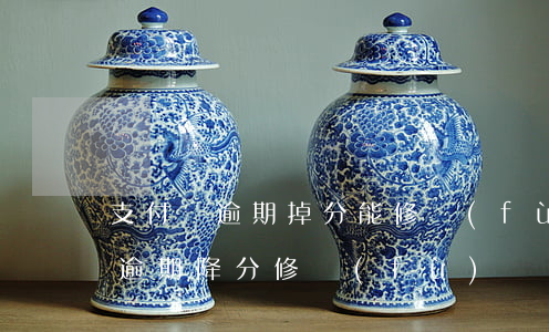 支付寶逾期掉分能修復(fù)嗎-支付寶逾期降分修復(fù)