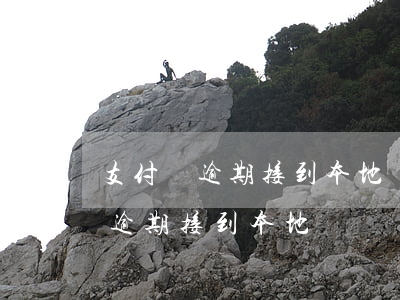 支付寶逾期接到本地電話說要上門-支付寶逾期接到本地電話說要上門核實