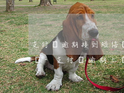 支付寶逾期接到短信說(shuō)的要上門-支付寶逾期上門會(huì)通知嗎