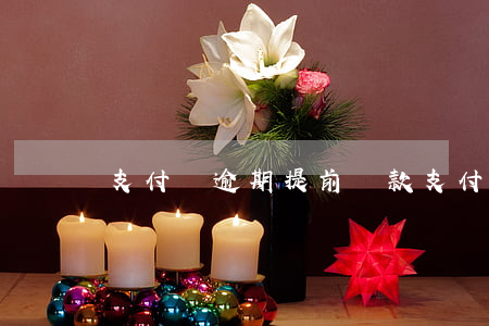 支付寶逾期提前還款(支付寶延期還款能提前還嗎)