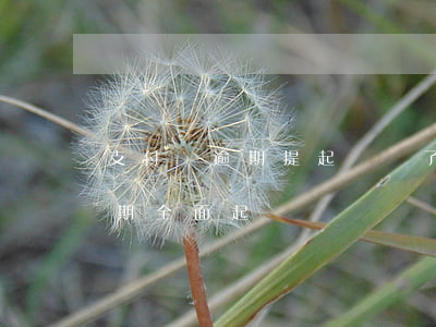 支付寶逾期提起訴訟了怎么辦（支付寶全面逾期全面起訴）