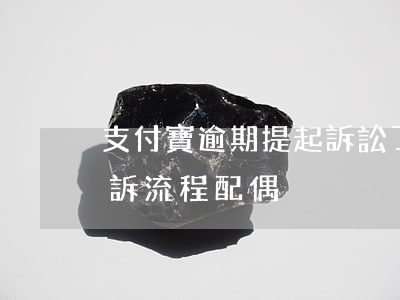 支付寶逾期提起訴訟了怎么辦（支付寶逾期起訴流程配偶）
