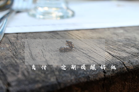 支付寶逾期提醒好做嗎