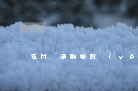 支付寶逾期提醒業(yè)務(wù)