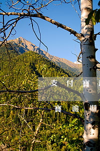 支付寶逾期換卡會(huì)有影響嗎(支付寶逾期了會(huì)影響孩子嗎)
