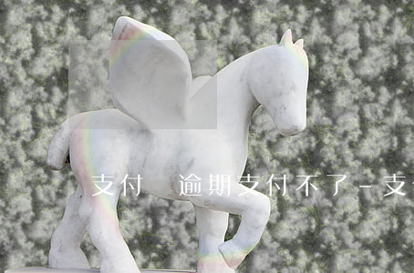 支付寶逾期支付不了-支付寶沒逾期