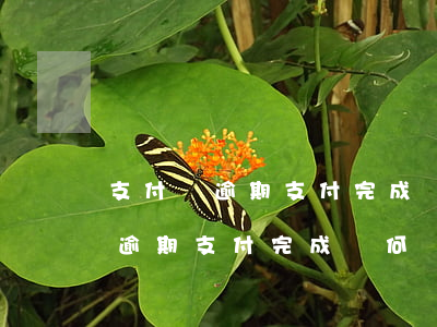支付寶逾期支付完成為何還有記錄-支付寶逾期支付完成為何還有記錄呢