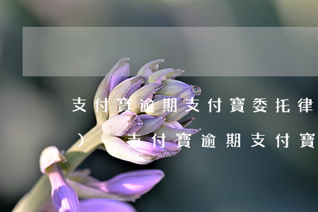 支付寶逾期支付寶委托律師打電話(huà)-支付寶逾期支付寶委托律師打電話(huà)是真的嗎
