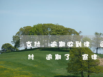 支付寶逾期收到律師函以后不管他會怎樣（支付寶逾期了會寄律師函么）