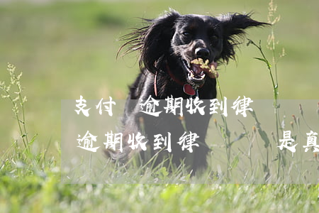 支付寶逾期收到律師電話是真的嗎-支付寶逾期收到律師電話是真的嗎嗎