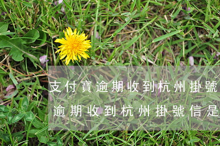 支付寶逾期收到杭州掛號信是什么-支付寶逾期收到杭州掛號信是什么意思