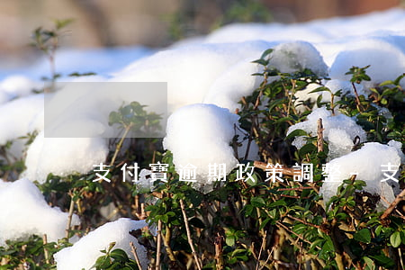 支付寶逾期政策調整-支付寶逾期影響