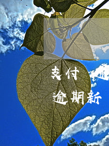 支付寶逾期新辦的銀行卡會扣錢嗎-支付寶逾期新辦的銀行卡會扣錢嗎安全嗎