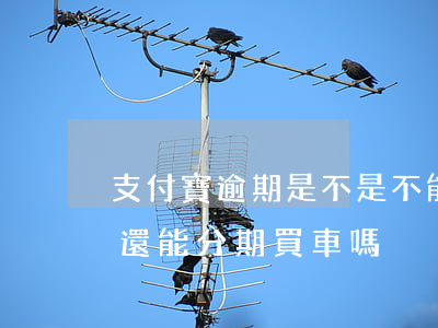 支付寶逾期是不是不能分期車（支付寶逾期了還能分期買車嗎）