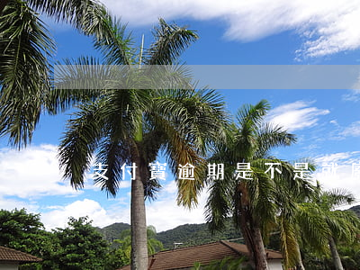 支付寶逾期是不是就廢了 支付寶逾期有事嗎