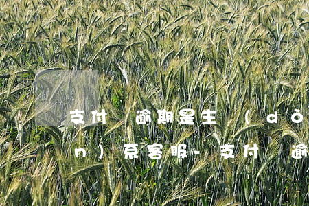 支付寶逾期是主動(dòng)聯(lián)系客服-支付寶逾期可以跟客服聯(lián)系嗎