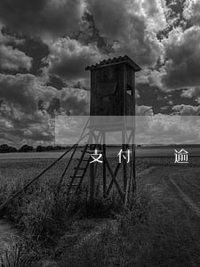 支付寶逾期是什么提示(支付寶逾期會怎么辦)