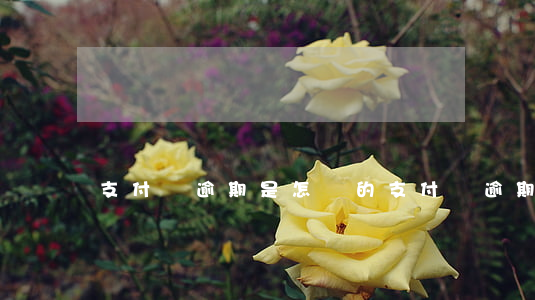 支付寶逾期是怎樣的 支付寶逾期是怎樣的