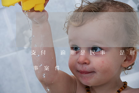 支付寶逾期是民事還是刑事(支付寶逾期是刑事案件嗎?)