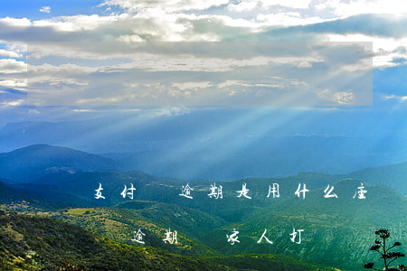 支付寶逾期是用什么座機(jī)打的(支付寶逾期給家人打電話違法嗎)