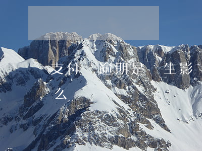 支付寶逾期是終生影響嗎(支付寶逾期影響什么)