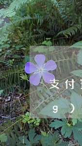 支付寶逾期時(shí)間太長(zhǎng)會(huì)上門催賬嗎(支付寶逾期催收上門會(huì)提前通知嗎)
