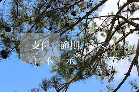 支付寶逾期時(shí)間長(zhǎng)不顯示賬單嗎 支付寶長(zhǎng)時(shí)間逾期每個(gè)月都還一點(diǎn)沒(méi)事吧