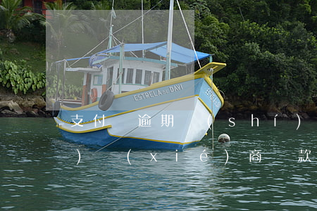 支付寶逾期時(shí)間長(zhǎng)協(xié)商還款怎么談-支付寶逾期后協(xié)商還款怎么談