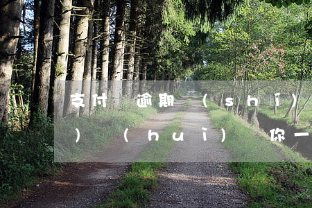 支付寶逾期時(shí)間長(zhǎng)會(huì)給你一封信(支付寶逾期很久)