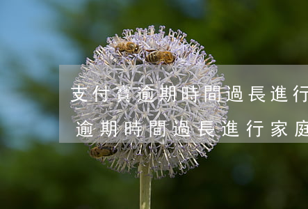 支付寶逾期時間過長進行家庭走訪-支付寶逾期時間過長進行家庭走訪有影響嗎
