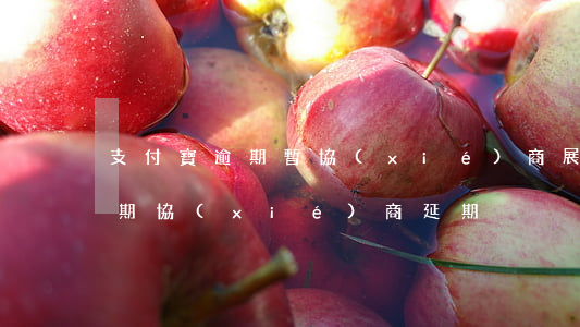 支付寶逾期暫協(xié)商展期(支付寶逾期協(xié)商延期)