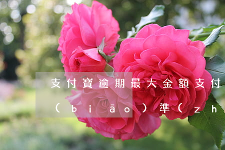 支付寶逾期最大金額 支付寶逾期金額大小標(biāo)準(zhǔn)