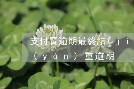 支付寶逾期最終結(jié)果-支付寶嚴(yán)重逾期