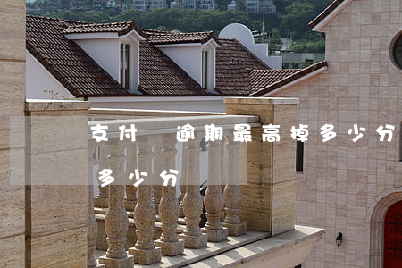 支付寶逾期最高掉多少分（支付寶逾期最高掉多少分）