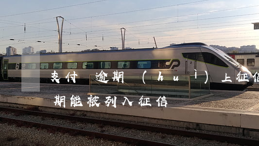 支付寶逾期會(huì)上征信嗎?（支付寶逾期能被列入征信嗎）