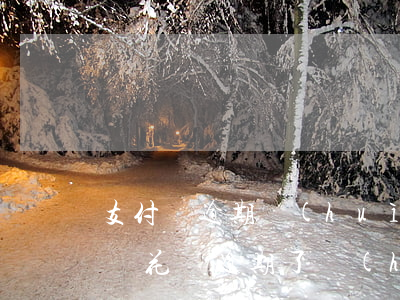 支付寶逾期會(huì)上征信記錄嗎(支付寶花唄逾期了會(huì)影響征信嗎)