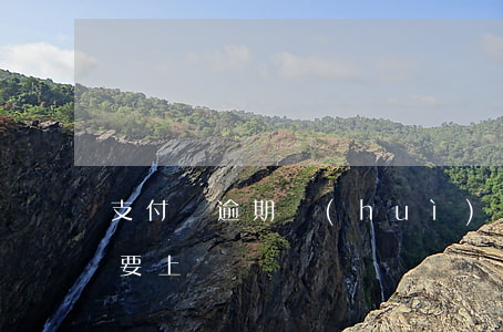 支付寶逾期會(huì)上門么(支付寶逾期要上門)