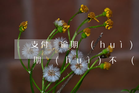 支付寶逾期會(huì)上門要嗎(支付寶逾期會(huì)不會(huì)找上門)